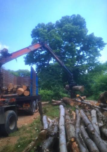 Μπαρούτας-2